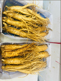  Sâm Tươi Hàn Quốc Loại 7 Củ 1Kg 