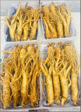  Sâm Tươi Hàn Quốc Loại 7 Củ 1Kg 