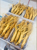  Sâm Tươi Hàn Quốc Loại 7 Củ 1Kg 