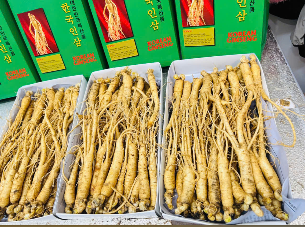  Sâm Tươi Hàn Quốc Loại 18 - 25 Củ 1Kg 