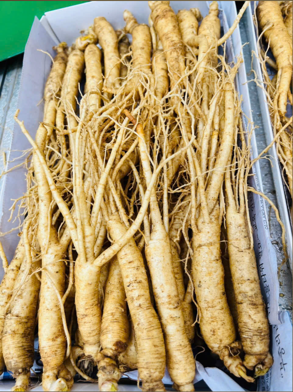  Sâm Tươi Hàn Quốc Loại 30 - 40 Củ 1Kg 