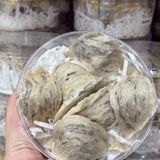 Yến Thô Nguyên Tổ – 100% Tổ Yến Tự Nhiên, Nguyên Chất, Nhận Cung Cấp Theo Yêu Cầu 