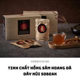  Tinh Chất Hồng Sâm Hoang Dã Dãy Núi Sobaek 