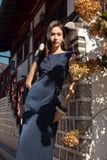  Hilary Dress 