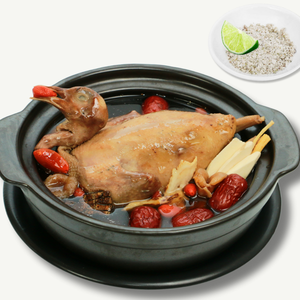  Bồ câu tiềm thuốc bắc 