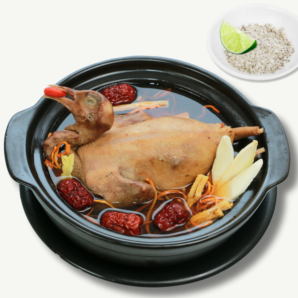  Bồ câu tiềm sâm Hoa Kỳ 