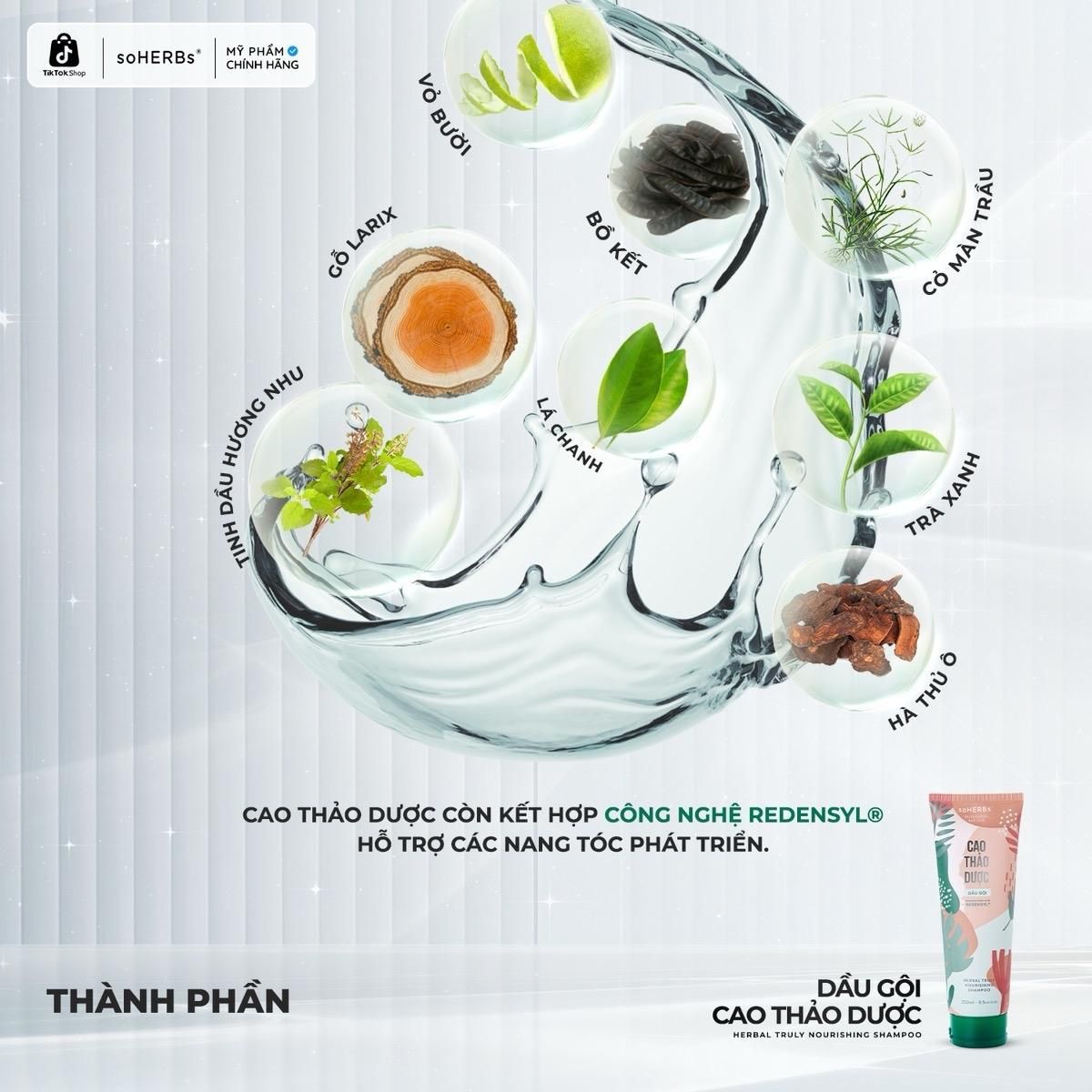  Dầu Gội Đầu Cao Thảo Dược Tuýp 250ml soHERBs [Quà Tặng: 1 Dầu Xả Cao Thảo Dược + 1 Gói Scrub] Women Nữ 