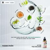  soHERBs - Xịt Tóc Cao Thảo Dược - Tặng Combo Gội Xả Mini Cao Thảo Dược 