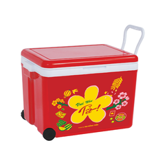Thùng đá vuông 35L L1030