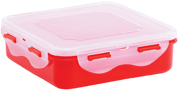  Hộp Foodpak vuông L608 