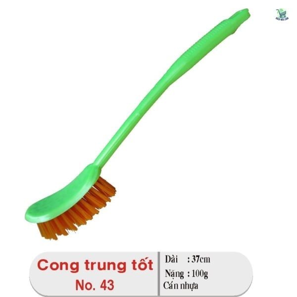 Cong trung tốt 