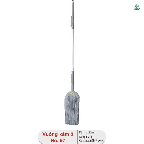  Cây lau vuông xám 3 