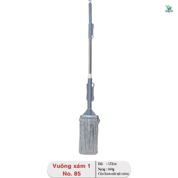  Cây lau vuông xám 1 