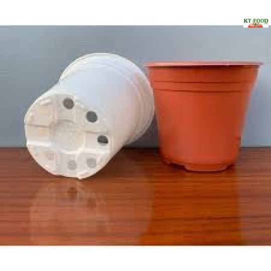  Chậu hoa Ø98 x  PP Nâu 