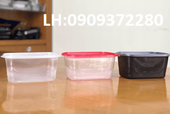  Hộp chữ nhật 750ml PP Trong + Nắp PP Trong (Sọc nhỏ) 
