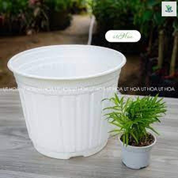  Chậu hoa Ø200 x 150 PP Sữa 