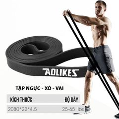 Dây kháng lực tập gym Power Band Aolikes ĐEN (65lbs)