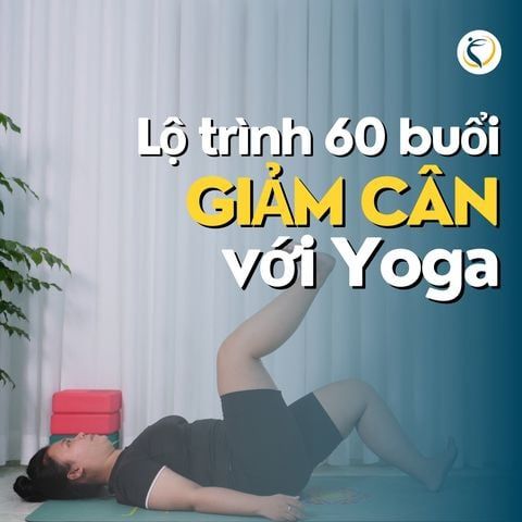  Lộ Trình 60 Video Giảm Cân Với Yoga 