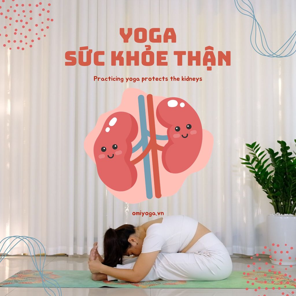  Yoga cho Sức Khỏe Thận 