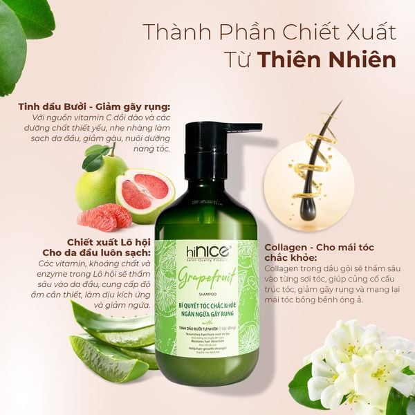 Bộ Dầu Gội Kem Xả Tinh Dầu Bưởi & Bồ Kết Thiên Nhiên hiNICE Grapefruit Dành Cho Tóc Gãy Rụng & Khô Xơ