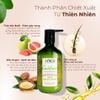 Bộ Dầu Gội Kem Xả Tinh Dầu Bưởi & Bồ Kết Thiên Nhiên hiNICE Grapefruit Dành Cho Tóc Gãy Rụng & Khô Xơ