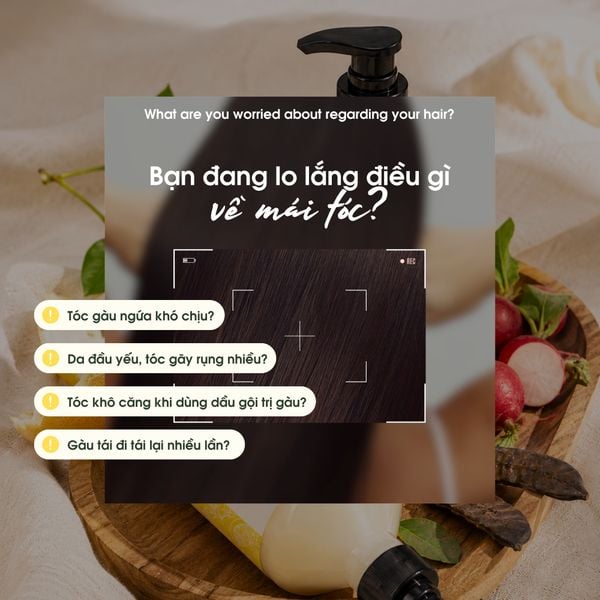 Dầu gội hiNICE sạch gàu - Dầu gội Tinh dầu Bưởi và Vỏ cây táo Ziziphus