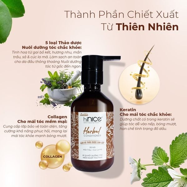 Bộ Dầu Gội Kem Xả Tinh Dầu Thảo Dược Thiên Nhiên hiNICE Herbal Hỗ Trợ Detox, Kiềm Dầu Da Đầu