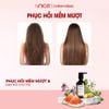 Bộ Dầu Gội Kem Xả Tinh Dầu Thảo Dược Thiên Nhiên hiNICE Herbal Hỗ Trợ Detox, Kiềm Dầu Da Đầu