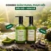 Combo hiNICE giảm rụng và suôn mượt - Combo Dầu gội + Kem xả Tinh dầu Bưởi (Dầu gội 435g + Kem xả 400g)