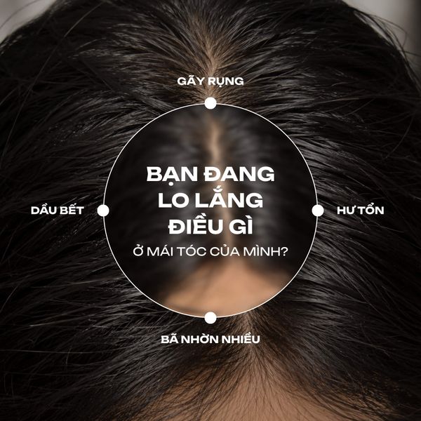 Serum hiNICE dưỡng ẩm và giảm xơ rối - Serum tinh dầu Macadamia 50ml