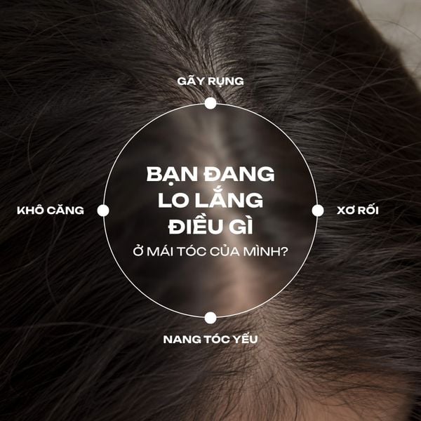 Dây dầu gội hiNICE giảm rụng tóc - Dầu gội Tinh dầu Bưởi thiên nhiên