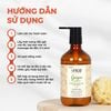 Dầu gội Tinh dầu Gừng hiNICE - Dầu gội giảm gàu ngứa, làm ấm da đầu và kích thích mọc tóc