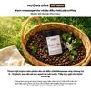 Kem Massage hiNICE tẩy da chết và làm khỏe da đầu - Kem massage tóc và da đầu Daklak Coffee