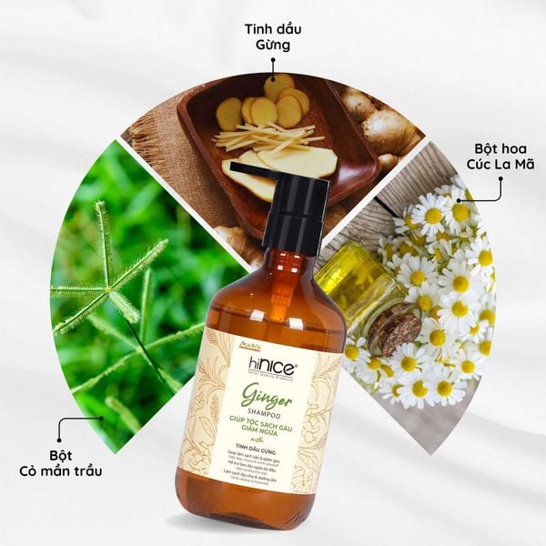 Dầu gội Tinh dầu Gừng hiNICE - Dầu gội giảm gàu ngứa, làm ấm da đầu và kích thích mọc tóc