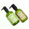 Bộ Dầu Gội Kem Xả Tinh Dầu Bưởi & Bồ Kết Thiên Nhiên hiNICE Grapefruit Dành Cho Tóc Gãy Rụng & Khô Xơ