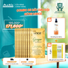 Combo 5 dây dầu gội hiNICE sạch gàu ngứa - Dầu gội Tinh dầu Gừng thiên nhiên 6g