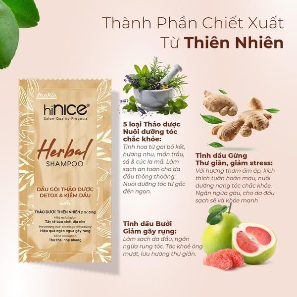 Gói Dầu Gội Tinh Dầu Thảo Dược Thiên Nhiên hiNICE Herbal Shampoo Hỗ Trợ Detox & Kiềm Dầu Da Đầu