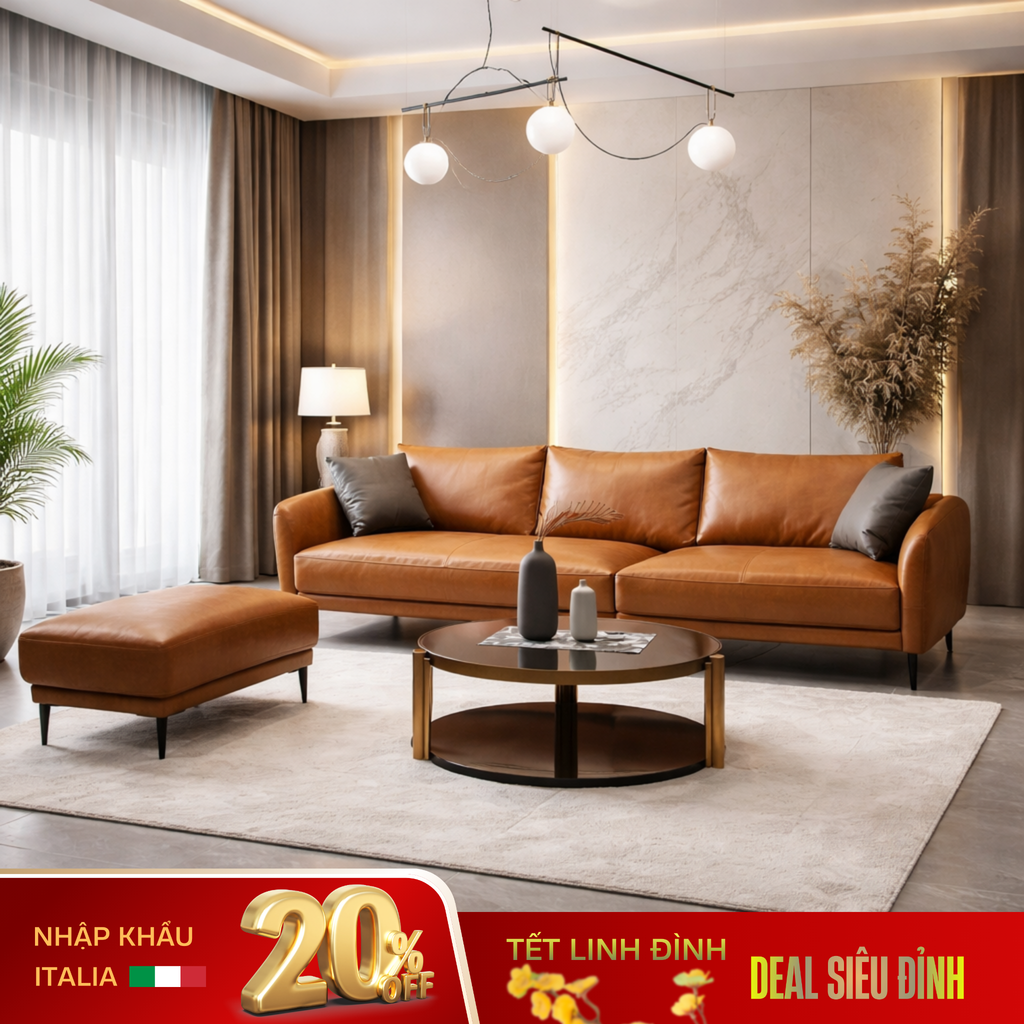 DV651 - Tuyệt tác Sofa Malaysia cho phòng khách hiện đại