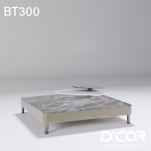  BT300 