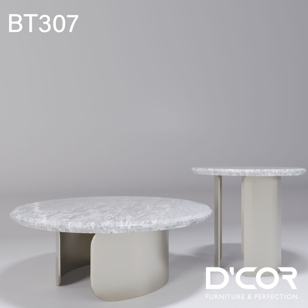 BT307