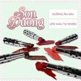  Son dưỡng Summer Diary Frosting Kiss 