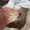 Sỏi Thạch Anh - Vật Liệu Lọc Nước