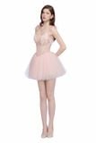  BLOSSOM DRESS HO25D07HO 