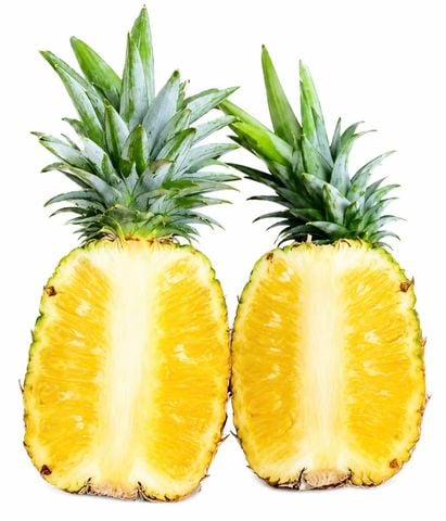  Dứa mật Điện Biên 