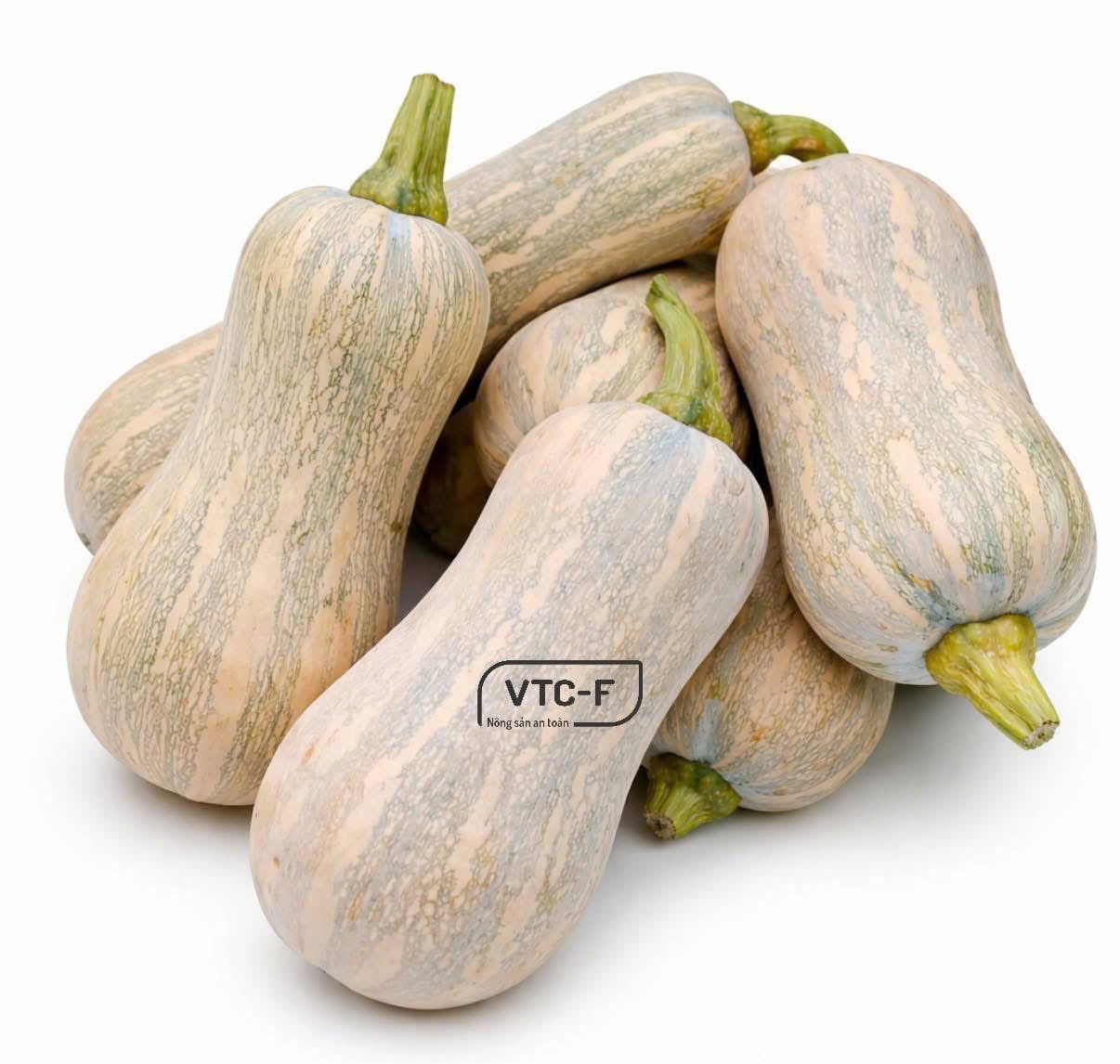  Bí củ lạc (Bí đỏ dài) 