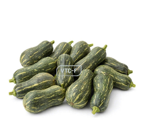  Bí đỏ non 