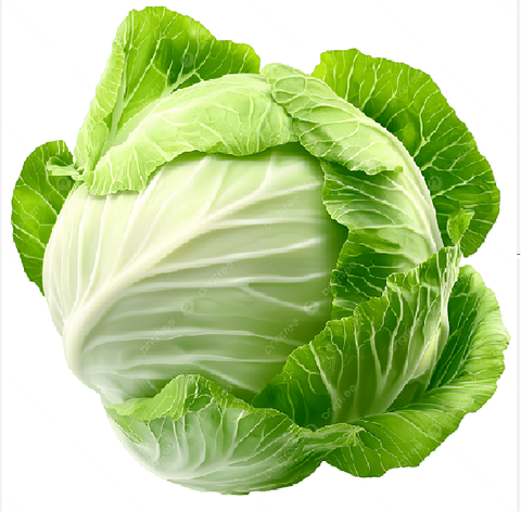  Bắp cải 