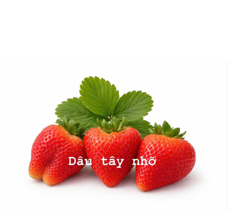  Dâu tây nhỡ (Hộp 500g) HM 