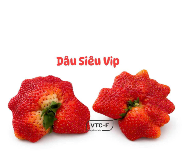 Dâu tây Siêu VIP (Hộp 500g)