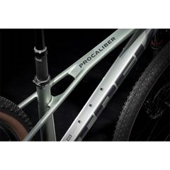 Procaliber 9.6 [2025]